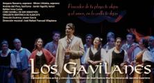 Los gavilanes